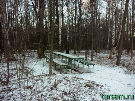 Forest park Izmaylovo fotografie, hartă parc