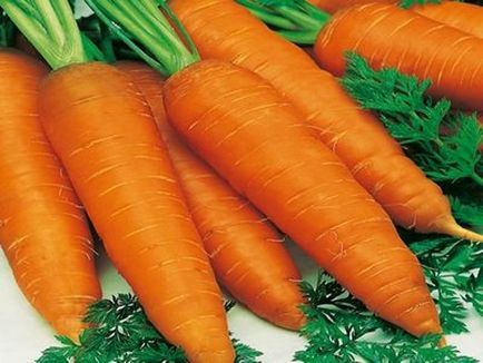 Cele mai bune soiuri de morcovi mari cu fotografie și descriere