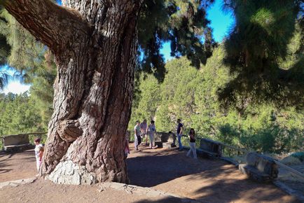 Holdbéli táj Tenerife, a blog az életről Tenerife