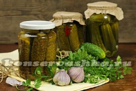 Pickles - Globe, a recept a téli a Szovjetunióban