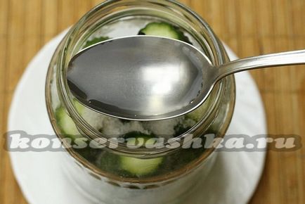 Pickles - Globe, a recept a téli a Szovjetunióban