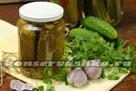 Pickles - Globe, a recept a téli a Szovjetunióban