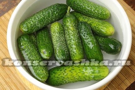 Pickles - Globe, a recept a téli a Szovjetunióban