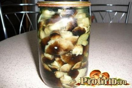 Marinat Shiitake Cum să marinate ciuperci la domiciliu