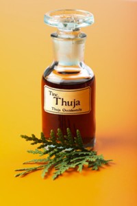 Uleiul de Thuya cu gianitritis, măsuri de precauție