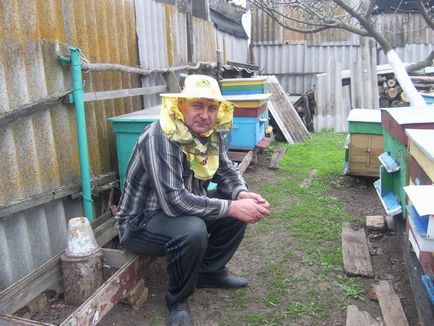 Viselik a méhészet