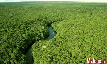 Міфи і легенди амазонки - амазонка, південна америка, індіанці, чудовисько, амазонки