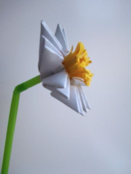 Moduláris Origami Moduláris origami „nárcisz”