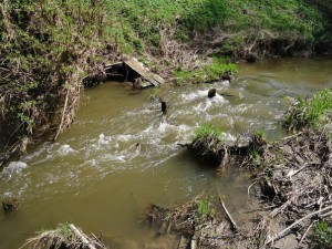 Monofilament linie de pescuit sau cablul împletit, care este mai bine pentru spin ultra-ușoară