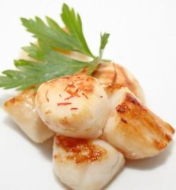 Scallop - o delicatesă utilă și vitamină