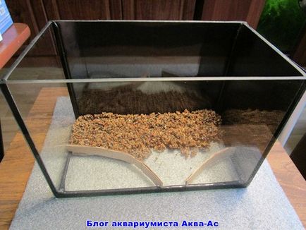 Nano acvariu ceea ce sunt ca să începeți și de îngrijire, blog aquarist