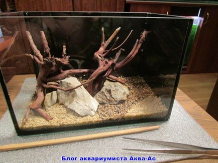 Nano acvariu ceea ce sunt ca să începeți și de îngrijire, blog aquarist