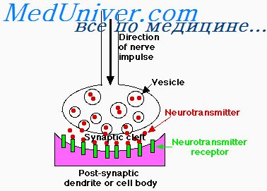 neuronok enyhítésére