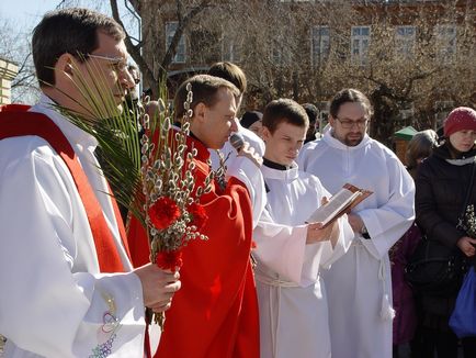 Comunitatea Protecției Fecioarei Maria