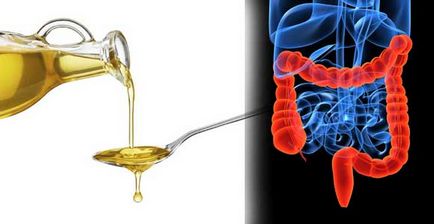 Purificarea intestinului cu ulei de ricin
