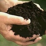 Fűrészpor és a kéreg, mint a műtrágya - a talaj és a műtrágya
