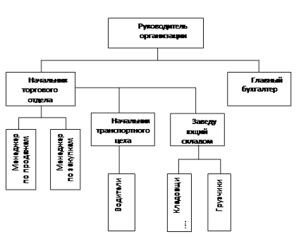 Structura organizatorică a sistemului torg-abstract