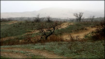 Un fragment al deșertului asiatic sau cea mai înaltă dună a Europei (Dagestan, Rusia)