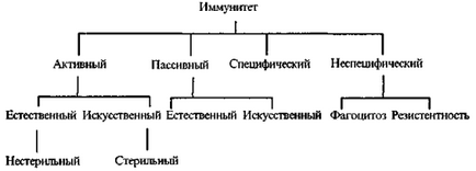 Conceptele de bază ale imunologiei în procesul de evoluție lungă, numărau milioane de ani, corpul