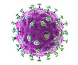 Miért van papilloma egy emberi test