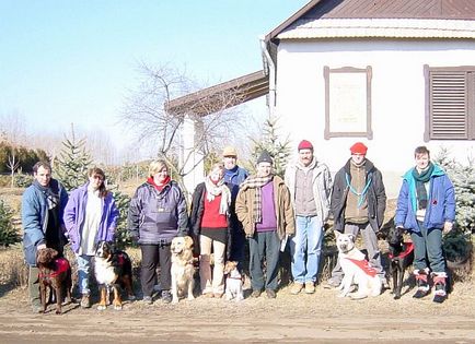 Про трюфелі, снобів і собаках снобів, що розшукують трюфеля