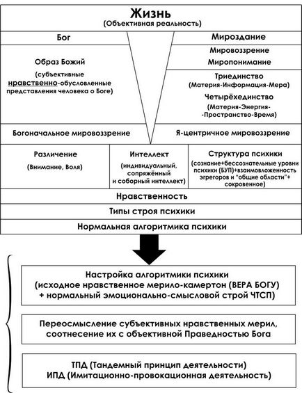 De la schematizare la auto-educație și modelare, cob-media