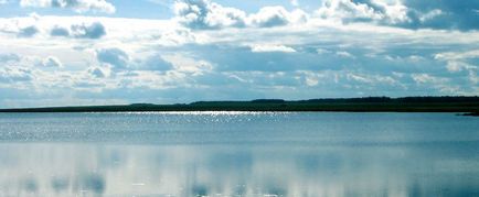 Lake kádak (fauna) tó kádak