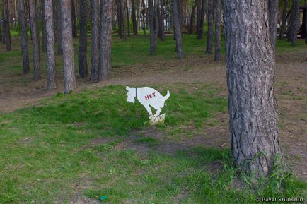 Scarlet Sails Park din Voronej