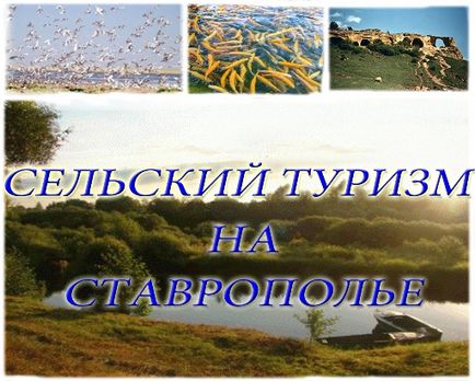 Soiuri și tehnologii de cultivare a cartofilor timpurii în Teritoriul Stavropol