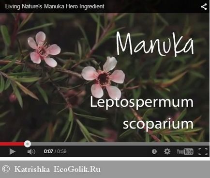 Hrănitoare day natura crema de viață - eco-blog revizuire katrishka