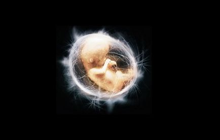 Funcția placentară în timpul sarcinii și unde apare după naștere