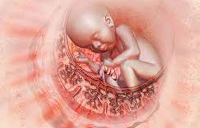 Placenta polip tünetek (a terhesség alatt, a szülés után, az abortusz, curettage, stb