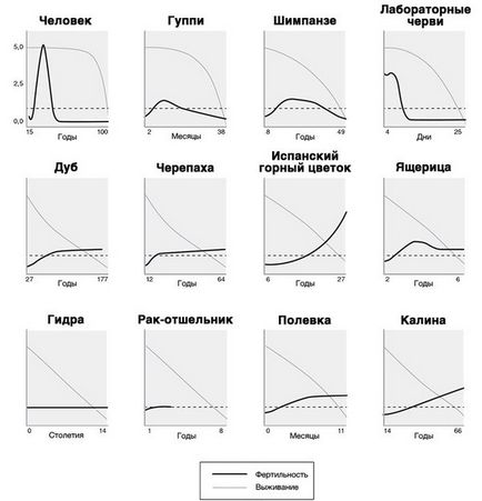 Чому старіння не неминуче