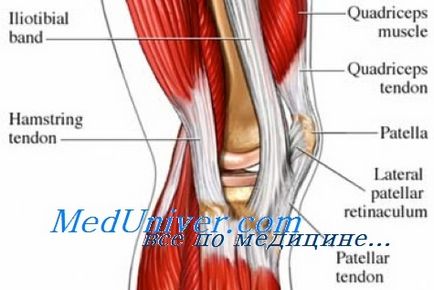 Пошкодження колатеральних зв'язок колінного суглоба