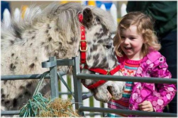 Urcați cu copilul la grădina zoologică