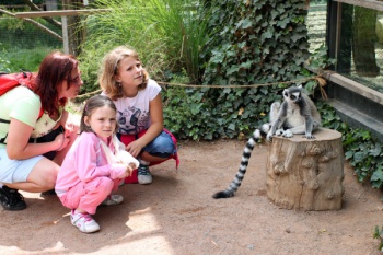 Urcați cu copilul la grădina zoologică