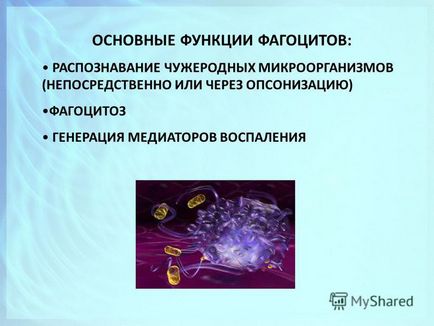 Презентація на тему імунологія вроджений імунітет