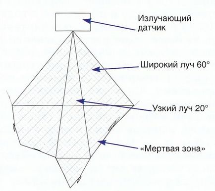 Principiul de funcționare a peștelui