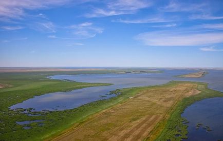 Originea vaselor de lac (regiunea Novosibirsk)