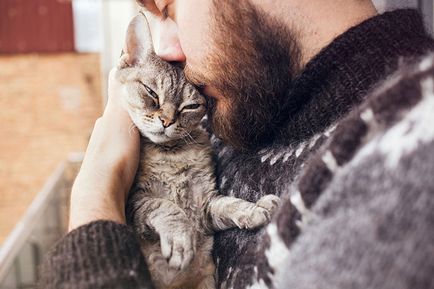 Psihologia pisicilor și a pisicilor