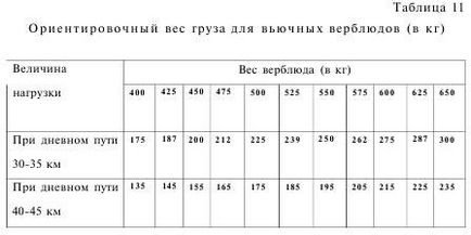 Робоча продуктивність верблюдів - все про тваринництво