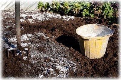 Deoxidarea solului cu normă de var, factori, caracteristici comune