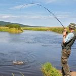 Розведення риби в домашніх умовах як бізнес