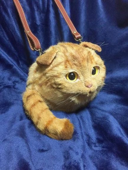 Pungi realiste sub formă de pisici, care au devenit o nouă tendință trendy în Japonia, umkra