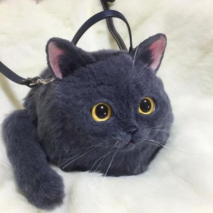 Reális táskák formájában macskák váltak az új divatirányzat Japánban, umkra