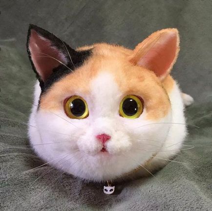 Pungi realiste sub formă de pisici, care au devenit o nouă tendință trendy în Japonia, umkra