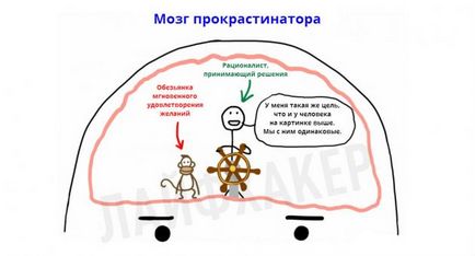 Реальна причина прокрастинації і вірний спосіб перестати все відкладати