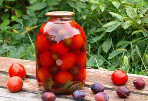 Рецепти та особливості маринованих помідорів зі сливами на зиму