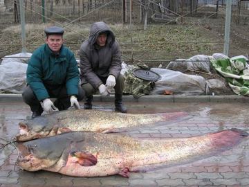 Риболовля на Сіверському донці - рибалка вУкаіни і по всьому світу