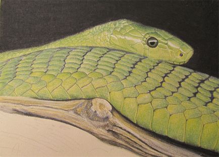 Малюємо пастеллю змію - ярмарок майстрів - ручна робота, handmade